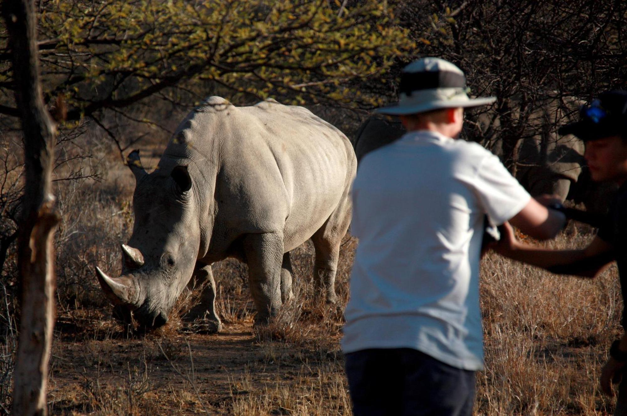 Waterberg Wilderness - One Namibia Villa Room photo