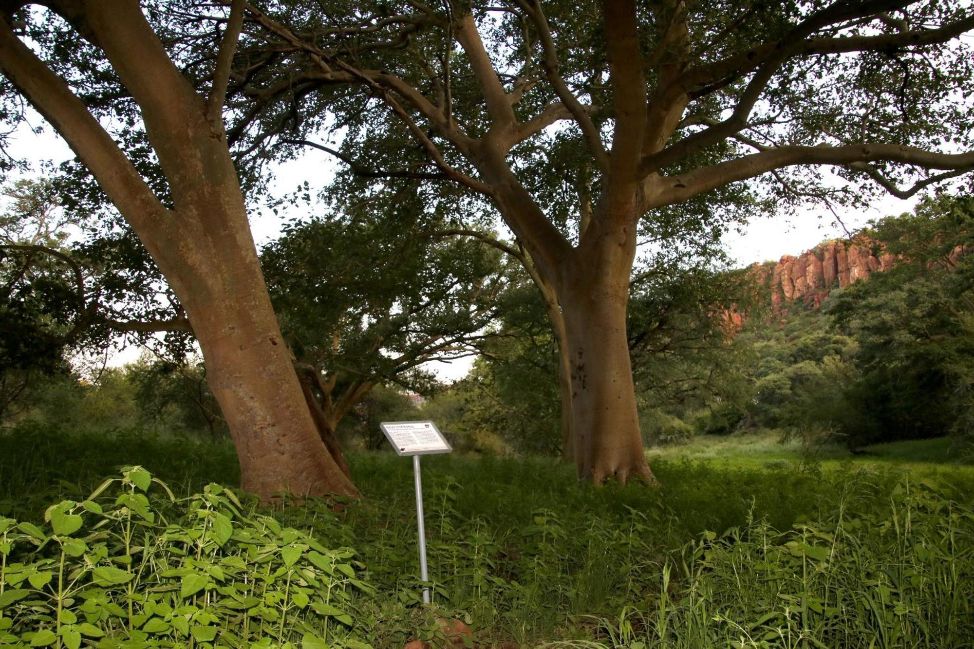 Waterberg Wilderness - One Namibia Villa Exterior photo