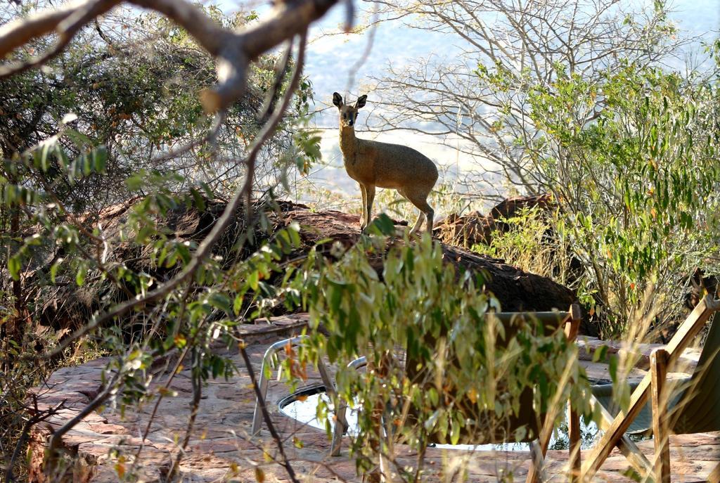 Waterberg Wilderness - One Namibia Villa Exterior photo