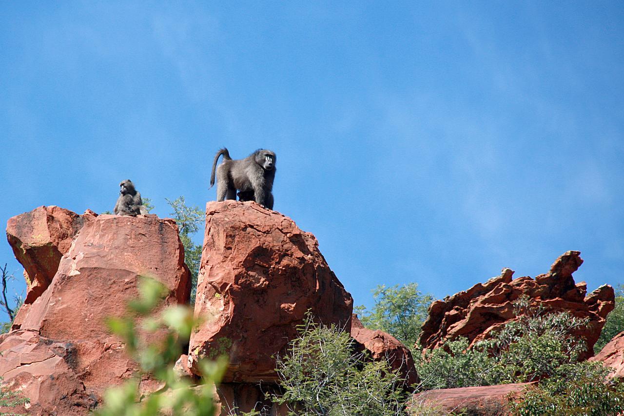 Waterberg Wilderness - One Namibia Villa Exterior photo
