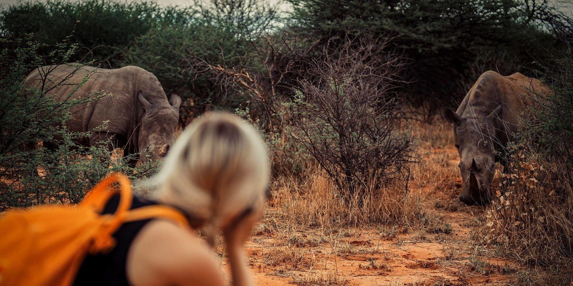 Waterberg Wilderness - One Namibia Villa Exterior photo
